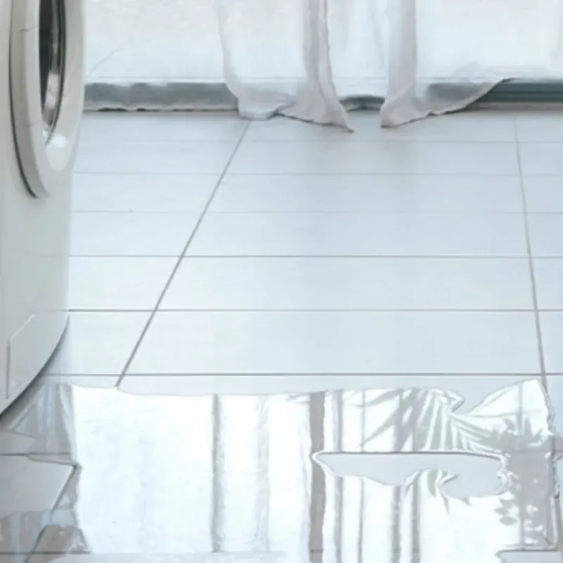 Appliance Leak Cleanup in West Helena, AR